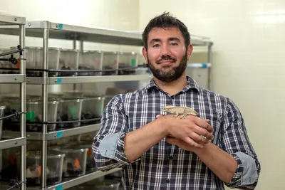 Thomas Lozito poses with Donald, one of his mourning geckos. 